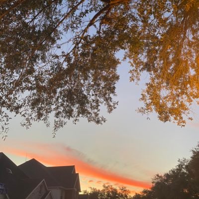 Lonnessian's profile picture. 