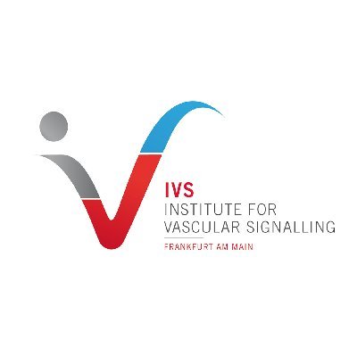 Official Twitter Account of the Institute for Vascular Signalling - Cardiovascular Research | Goethe University Frankfurt
Director: Prof. Dr. Ingrid Fleming