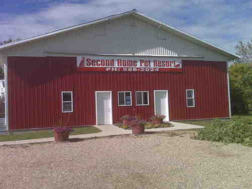 secondhomepet's profile picture. The Edmonton area's number one choice in pet care. Just minutes from the Edmonton International Airport. We care for any and all household pets.