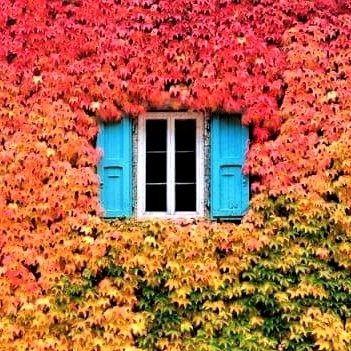 lucianodigrazia's profile picture. 