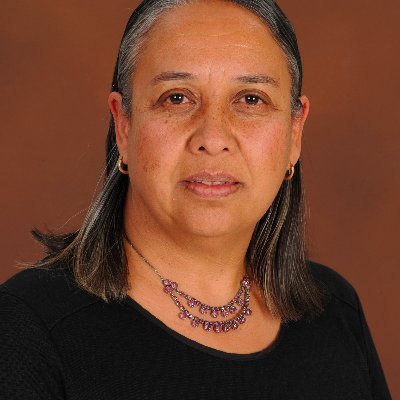 Director, LINK Centre, Wits University, South Africa, academic + policy research on digital transitions in economic and social sectors