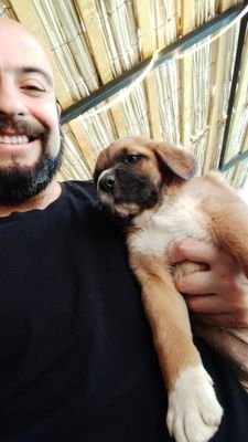 arturockz's profile picture. Simple, correcto y directo.