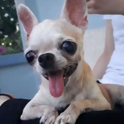 jflatelegram's profile picture. 