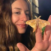 Irilena Linardaki (@irilenaecology) 's Twitter Profile