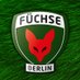 Füchse Berlin (@FuechseBerlin) Twitter profile photo