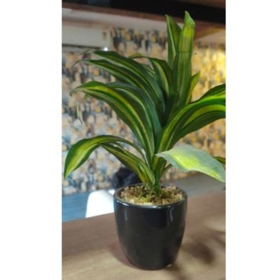 alka_22's profile picture. 😇