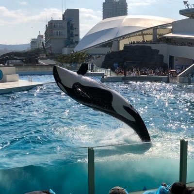 spinball13's profile picture. ときには広く浅く、ときには狭く深く/ 通信キャリア/ R&D/ Ph.D/鹿ファン/ F.D.