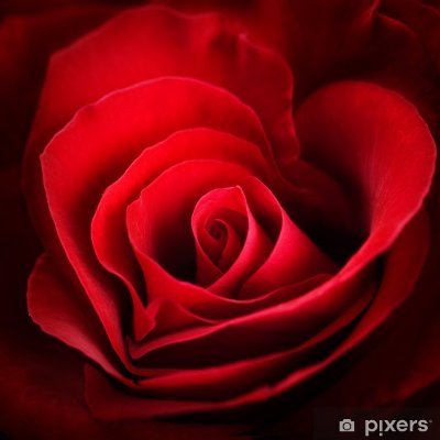 sathya413's profile picture. Singing & Cooking