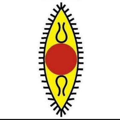 spicmacayiiserp's profile picture. IISER Pune Chapter of SPICMACAY