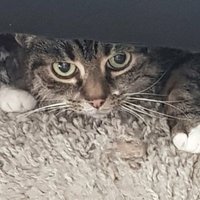 Kirito5601 (@kirito5601) 's Twitter Profile