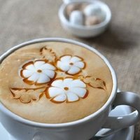 عالم مؤلم (@8chvasfjgveuqmo) Twitter profile photo