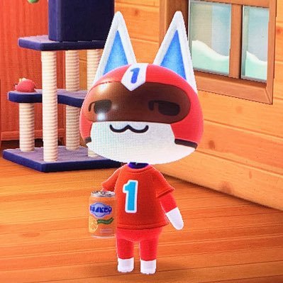ひもＱさんのプロフィール画像