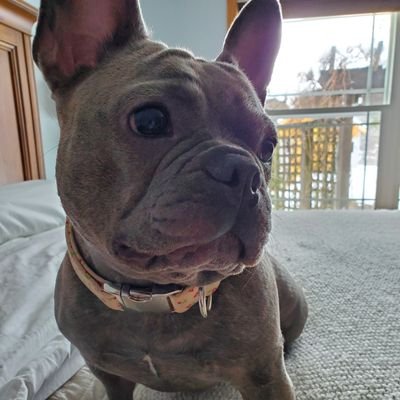 andrzej7346's profile picture. 