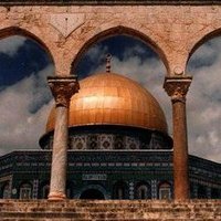 Saied Mohamed (@saiedmo64983381) Twitter profile photo