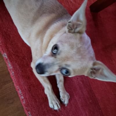 Dejablu522's profile picture. 