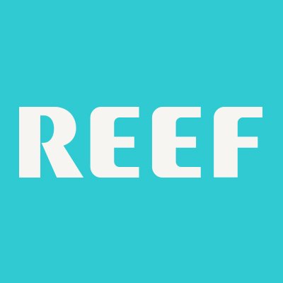 reef84 Profile Picture