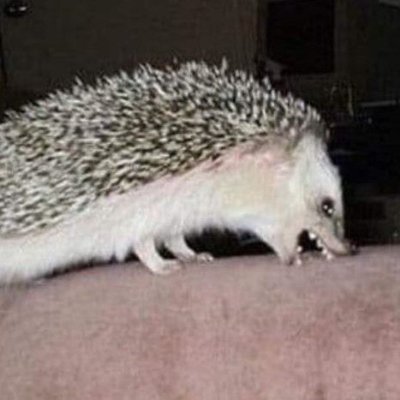 comparing2u's profile picture. 