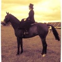 Emma Herbert-Davies(@Horsesinhistory) 's Twitter Profile Photo