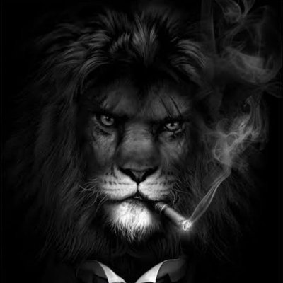 Crypto Samrat Profile