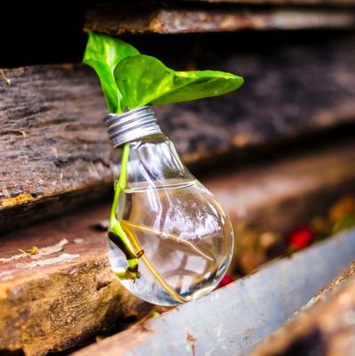 Des nouvelles du vivant • Biodiversité, agriculture et alimentation 🌱🐝🦠