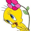 Adele Hudson - @HudsonAdele - Twitter