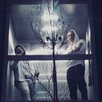 Khalid Sharzman (@ksharzman) 's Twitter Profile