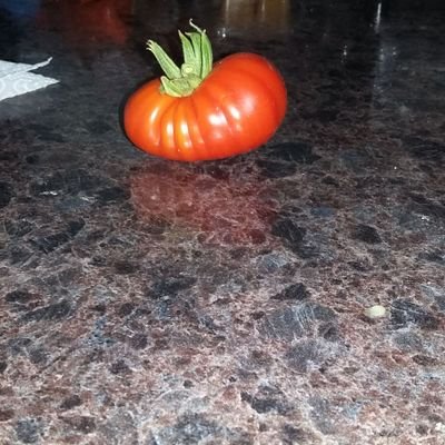 Joe19136967's profile picture. 