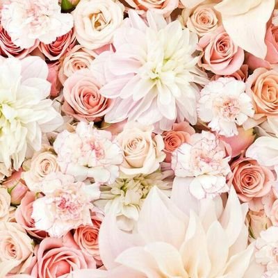 WailanteLais's profile picture. 