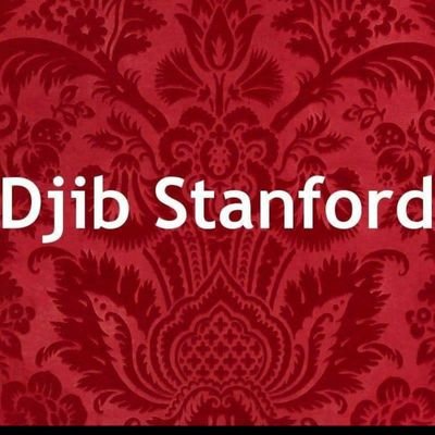 ENGLISH : Djib Stanford is a writer-composer and singer, his influences comes from Soul music with a touch of Pop, Hip-Hop, jazz and rn'b music.