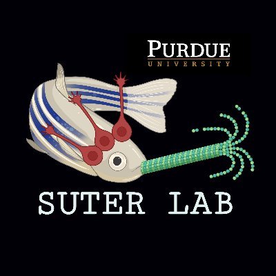 @PurdueSuterLab