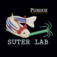 Suter Lab (@purduesuterlab) 's Twitter Profile Photo Suter Lab (@purduesuterlab) 's Twitter Profile Photo