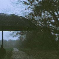 merry (@sunday) 's Twitter Profile
