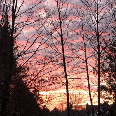 k_defosse's profile picture. 