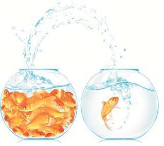 crisfrivero's profile picture. 