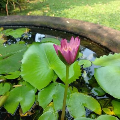 Bimbim1978's profile picture. 