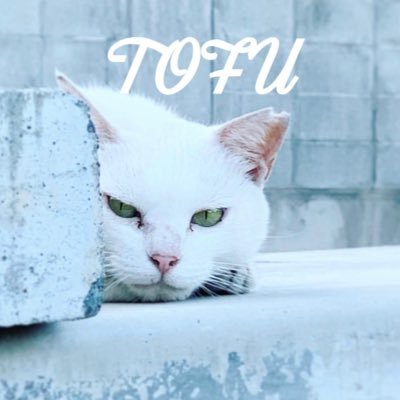 お豆腐🌻双極性障害&ADHDさんのプロフィール画像