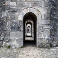 Narkozcuyan (@narkozcuyan) 's Twitter Profile
