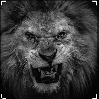 Guess720s's profile picture. Respect all, live and let live!