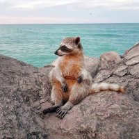 Out Of Context Tampico (@outtampico) 's Twitter Profile Photo