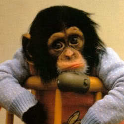 italwit's profile picture. Move it along.....