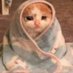 C (@carmengiang) Twitter profile photo C (@carmengiang) Twitter profile photo