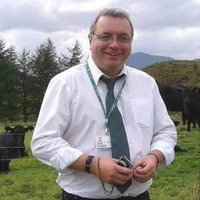 Davy McCracken (@davymccracken) 's Twitter Profile Photo Davy McCracken (@davymccracken) 's Twitter Profile Photo