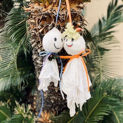 ocapi_92's profile picture. たまーに作るお弁当を投稿します✌︎