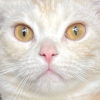 NEeON (@neeon000) 's Twitter Profile Photo NEeON (@neeon000) 's Twitter Profile Photo