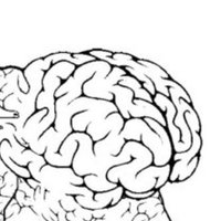 Insidethoughts (@insidethought69) 's Twitter Profile Photo