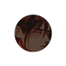 ‍‍ ˑ‍‍‍𝓽𝖍𝖊，𝓴͟𝖎͟𝖑͟𝖑𝖊𝖗 .◝ ‍ ( H ) (@rieseren) Twitter profile photo