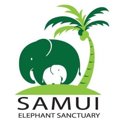 We are the first truly ethical & award winning elephant sanctuary on the paradise island of Koh Samui, Thailand. 🌴🐘 🇹🇭