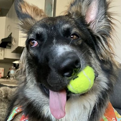 theoptionmonkey's profile picture. 