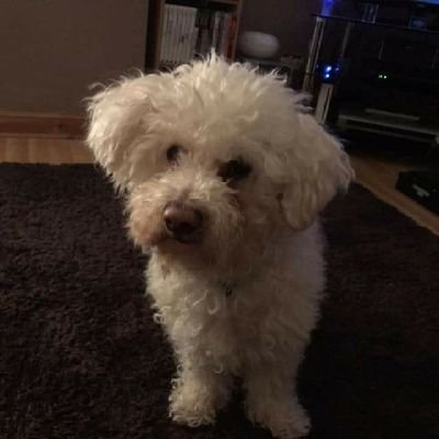 fi_browne's profile picture. Mum of 2 Girls and a dug. Lover of Shoes, Hibs, Music and Gin..not necessarily in that order. CHS panel member. Youth Worker.  Scotland 🏴󠁧󠁢󠁳󠁣󠁴󠁿  xx