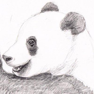 Bonjour Pandaさんのプロフィール画像
